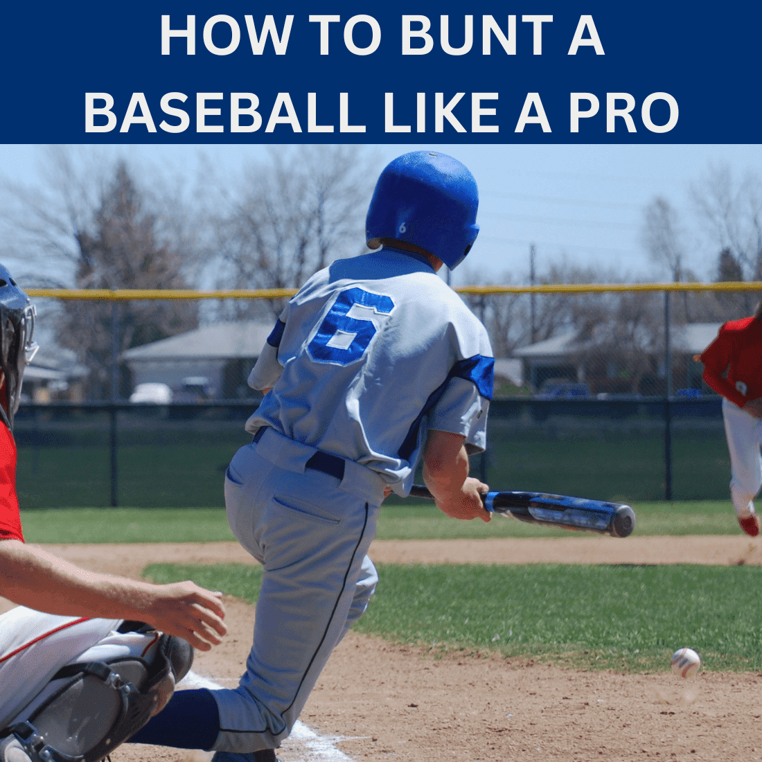 How to Bunt a Baseball Like a Pro: 5 Tips