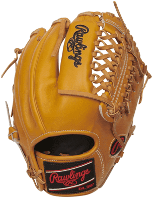 What to Look for in Rawlings Baseball Gloves - Shop HB Sports