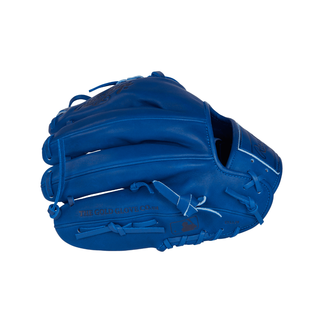 Shop Rawlings Pro Label Elements Series "Storm" 11.5" Baseball Glove: RPRO204-2R at Headbanger Sports