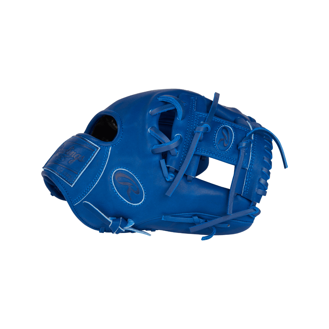 Shop Rawlings Pro Label Elements Series "Storm" 11.5" Baseball Glove: RPRO204-2R at Headbanger Sports