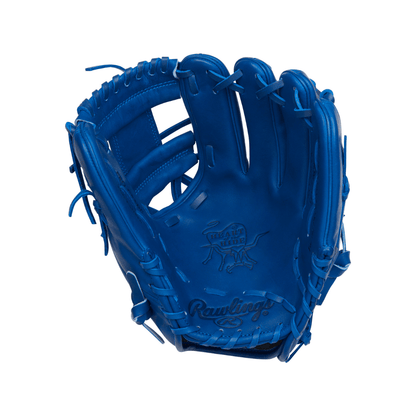 Shop Rawlings Pro Label Elements Series "Storm" 11.5" Baseball Glove: RPRO204-2R at Headbanger Sports