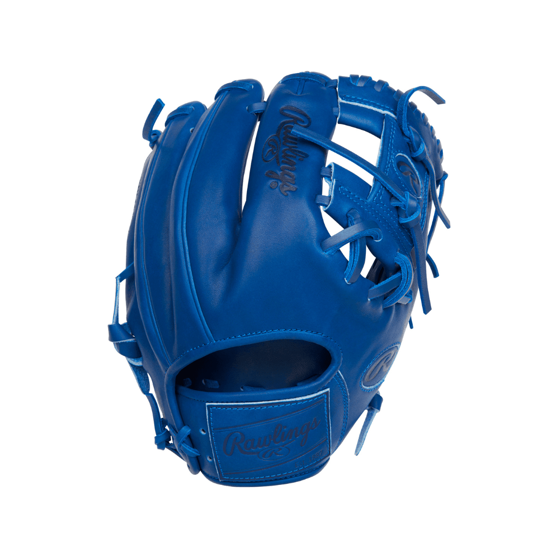 Shop Rawlings Pro Label Elements Series "Storm" 11.5"  Baseball Glove: RPRO204-2R at Headbanger Sports