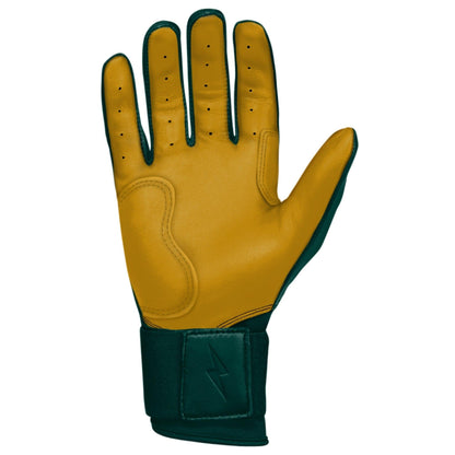 Bruce Bolt PREMIUM PRO Long Cuff Batting Gloves: Green