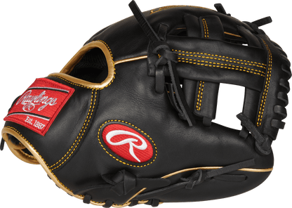 Rawlings R9 9.5" Baseball Training Glove: R9TRBG