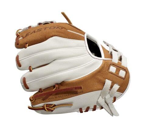 Easton Groundwork 10-inch Softball Training Glove: GWT10T